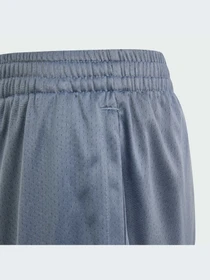 Шорты Adidas модель IM8575-KZ Фото