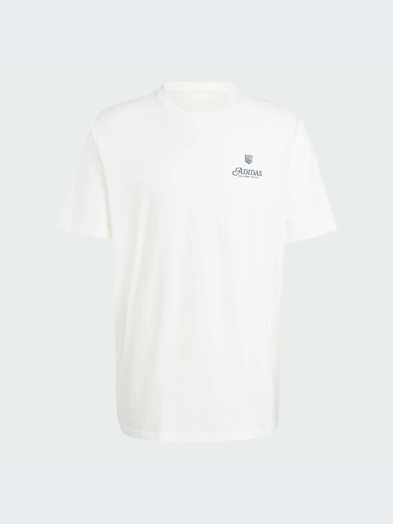 Футболки и поло Adidas Graphics модель IS2937-KZ Футболки и поло Adidas Graphics модель IS2937-KZ Фото
