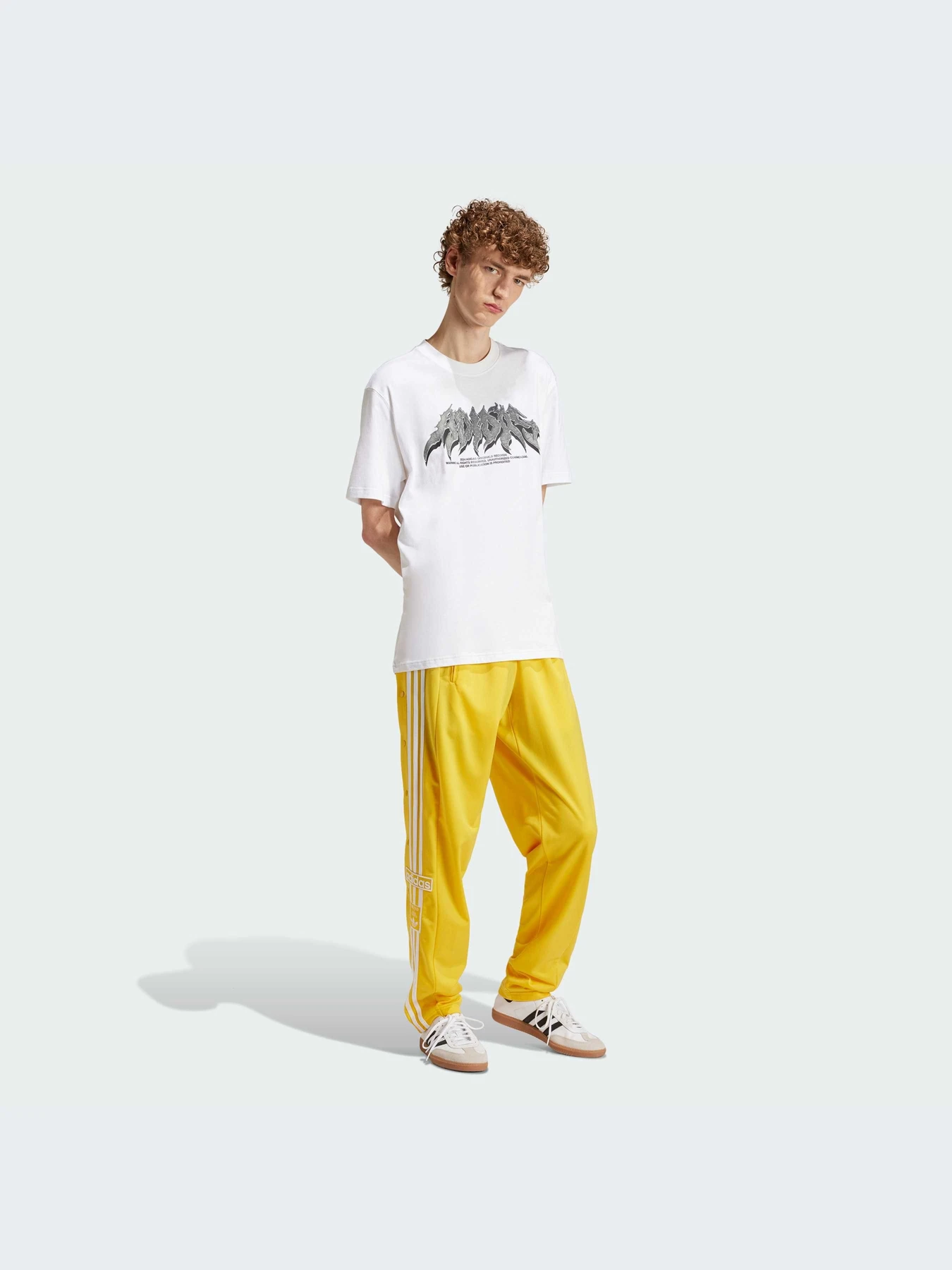 Футболки и поло Adidas Graphics модель IS2946-KZ Футболки и поло Adidas Graphics модель IS2946-KZ Фото