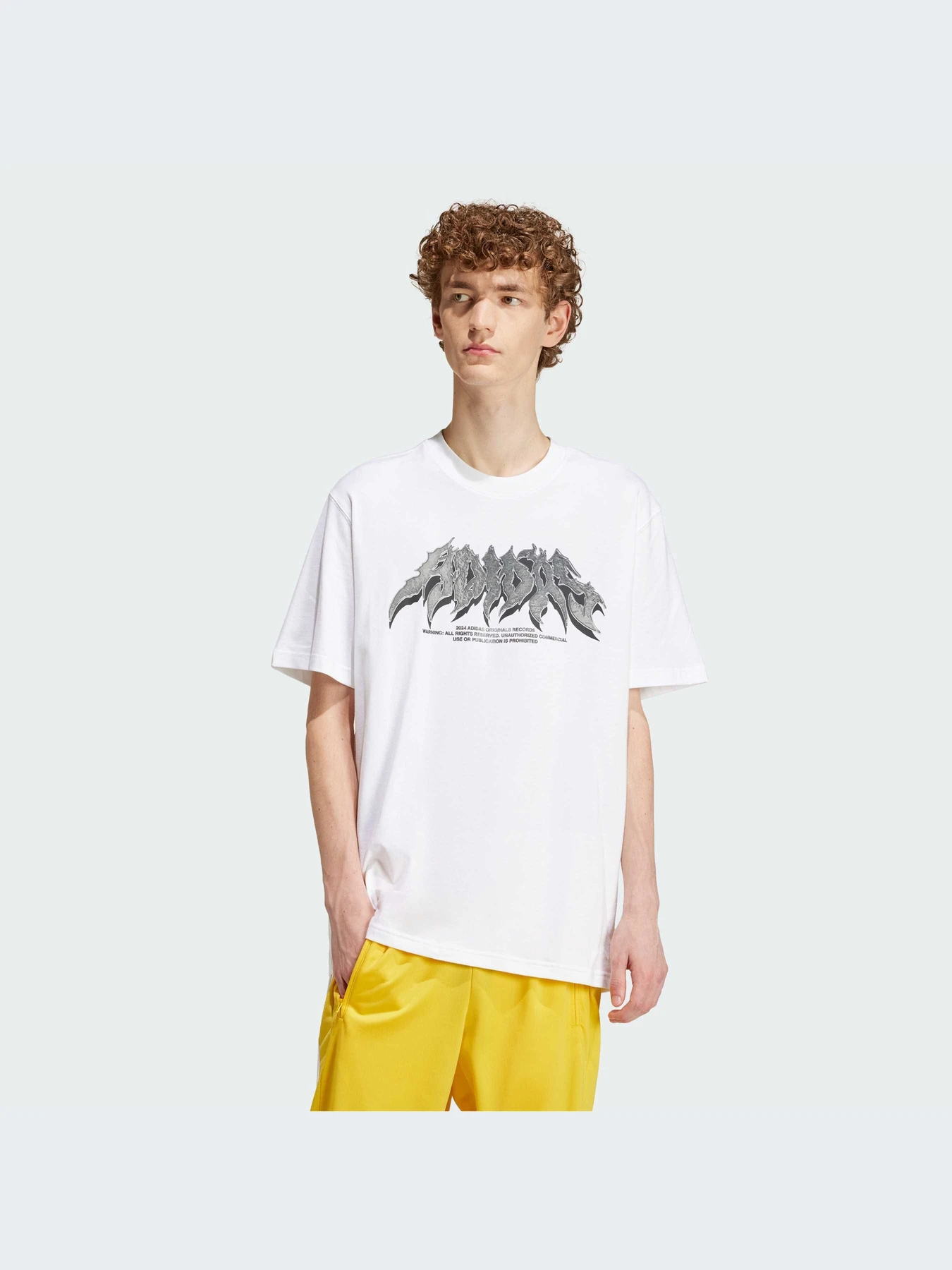 Футболки и поло Adidas Graphics модель IS2946-KZ Футболки и поло Adidas Graphics модель IS2946-KZ Фото