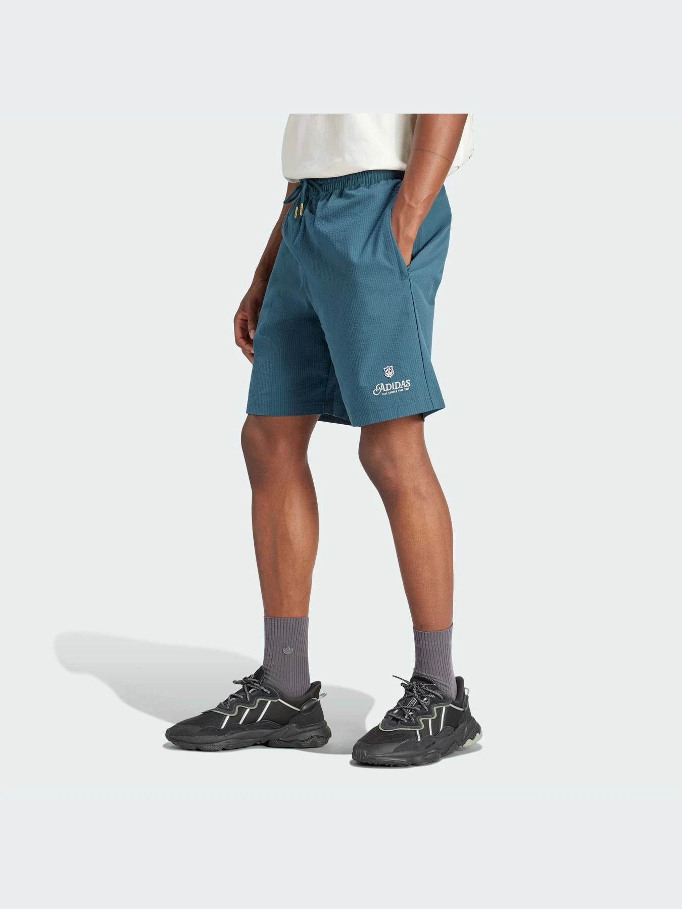 Шорты Adidas Graphics модель IS2952-KZ Шорты Adidas Graphics модель IS2952-KZ Фото