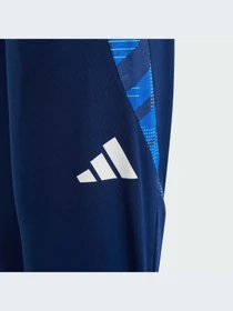 Брюки Adidas Tiro модель IS1639-KZ Фото