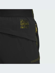 Брюки Adidas модель IS9529-KZ Фото