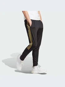 Брюки Adidas Tiro модель IJ8403-KZ Фото