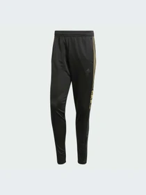 Брюки Adidas Tiro модель IJ8403-KZ Фото