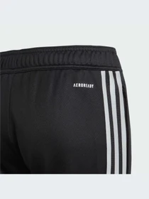 Брюки Adidas модель IJ4944-KZ Фото