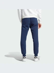 Брюки Adidas Adicolor модель IM9445-KZ Фото