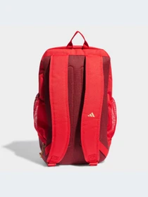 Рюкзаки Adidas модель IB4576-KZ Фото
