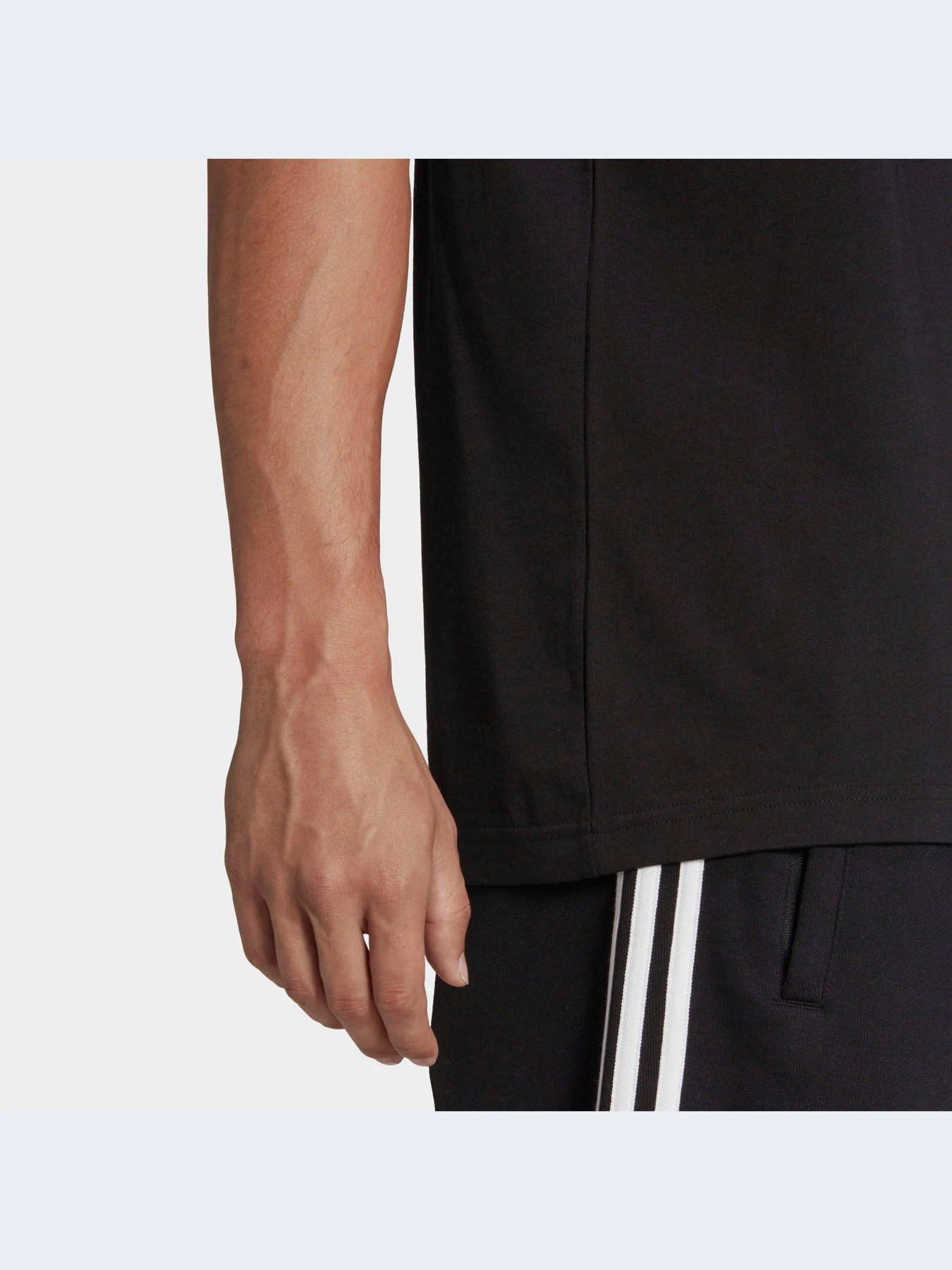 Футболки и поло Adidas Adicolor модель IA4811-KZ Футболки и поло Adidas Adicolor модель IA4811-KZ Фото
