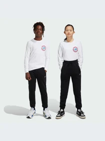 Брюки Adidas Культовые силуэты модель IW3498-KZ Фото