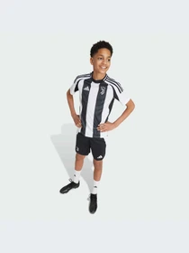 Шорты Adidas модель IT3553-KZ Фото