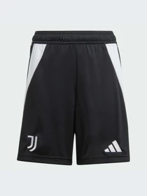 Шорты Adidas модель IT3553-KZ Фото