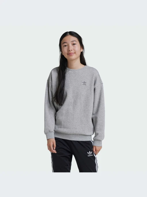 Худи и свитшоты Adidas модель IZ4813-KZ Фото