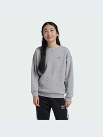 Худи и свитшоты Adidas модель IZ4813-KZ Фото