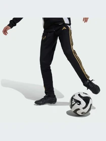 Брюки Adidas модель IZ2994-KZ Фото