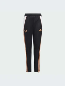Брюки Adidas модель IZ2994-KZ Фото
