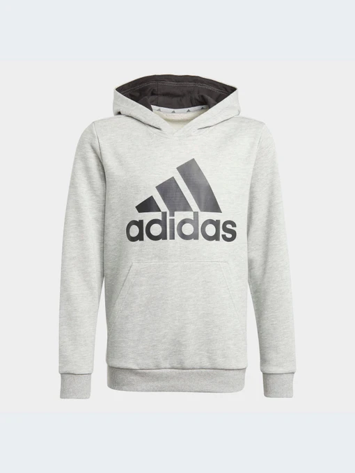 Худи и свитшоты Adidas модель GN4019-KZ Фото