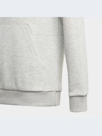 Худи и свитшоты Adidas модель GN4019-KZ Фото