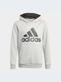 Худи и свитшоты Adidas модель GN4019-KZ Фото