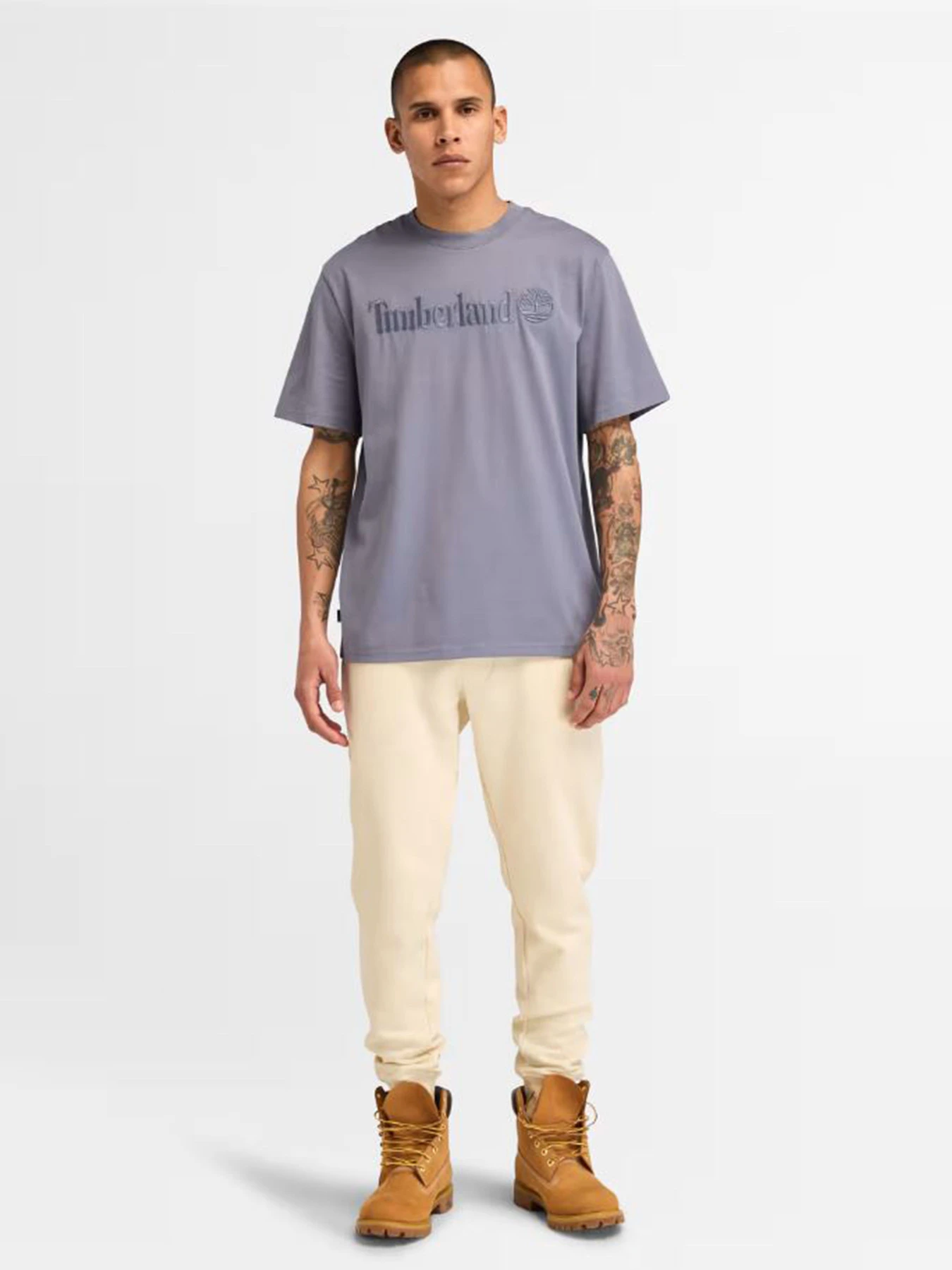 Футболки и поло Timberland модель TB0A6VPE073 Футболки и поло Timberland модель TB0A6VPE073 Фото