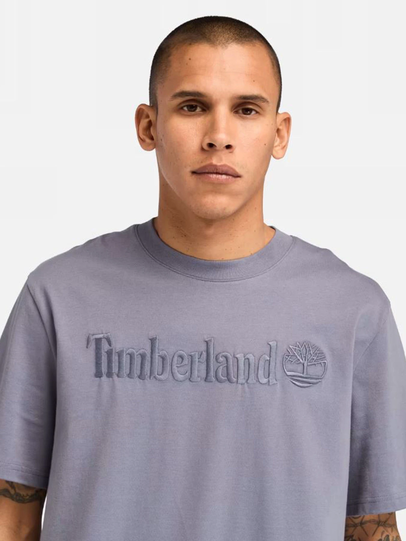 Футболки и поло Timberland модель TB0A6VPE073 Футболки и поло Timberland модель TB0A6VPE073 Фото
