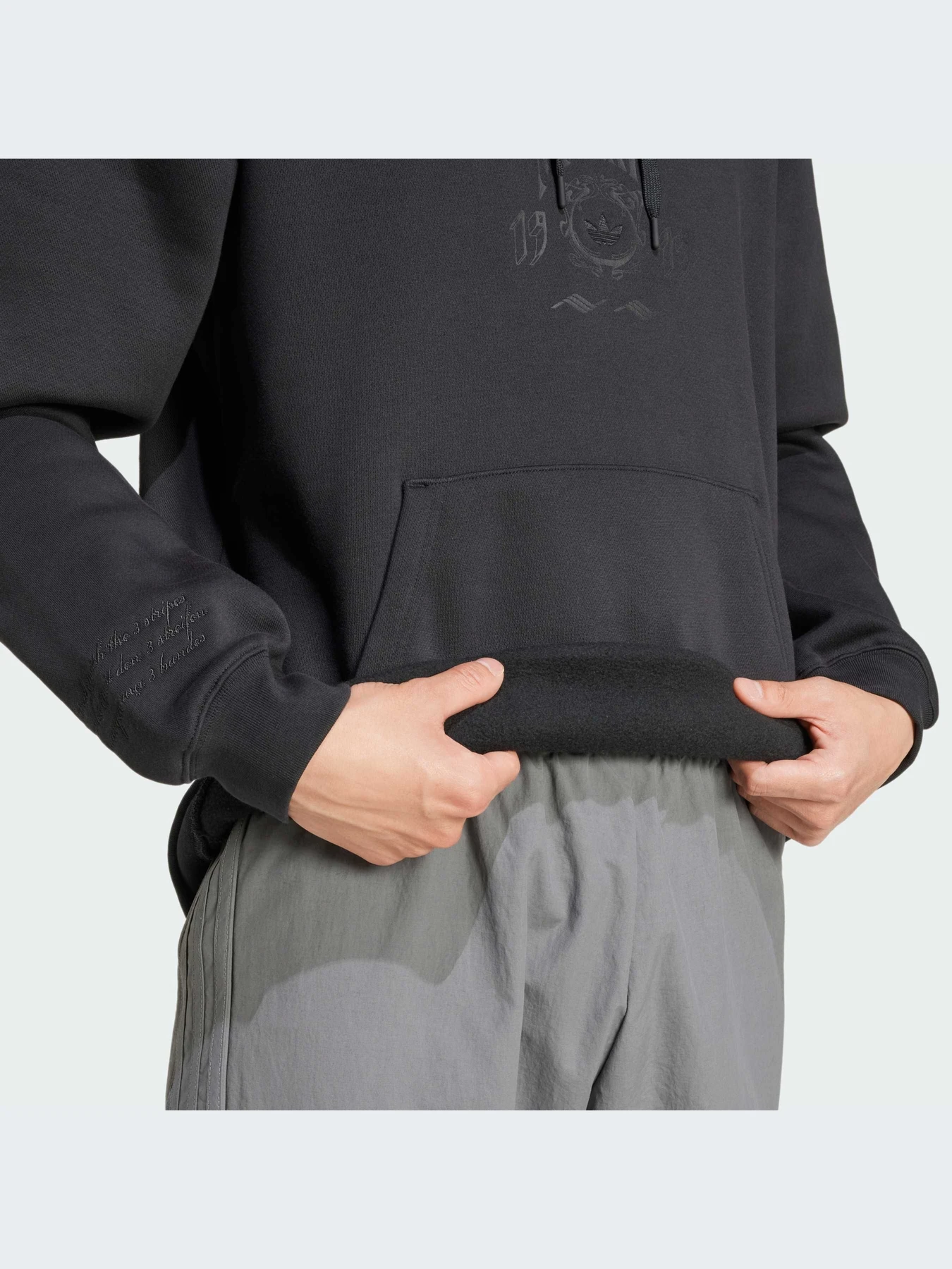 Худи и свитшоты Adidas Graphics модель IZ2566-KZ Худи и свитшоты Adidas Graphics модель IZ2566-KZ Фото