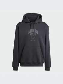 Худи и свитшоты Adidas Graphics модель IZ2566-KZ Фото