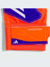 Перчатки для спорта Adidas Predator модель IX3872-KZ Фото