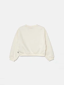 Худи и свитшоты Vans модель VN000J6HFS81 Фото