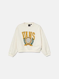 Худи и свитшоты Vans модель VN000J6HFS81 Фото