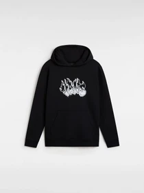 Худи и свитшоты Vans модель VN000JSABLK1 Фото