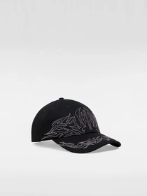 Шапки и кепки Vans модель VN000JSBBLK1 Фото