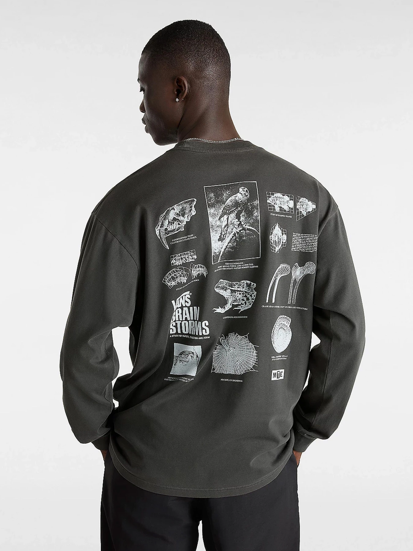 Худи и свитшоты Vans модель VN000JQSBLK1 Худи и свитшоты Vans модель VN000JQSBLK1 Фото