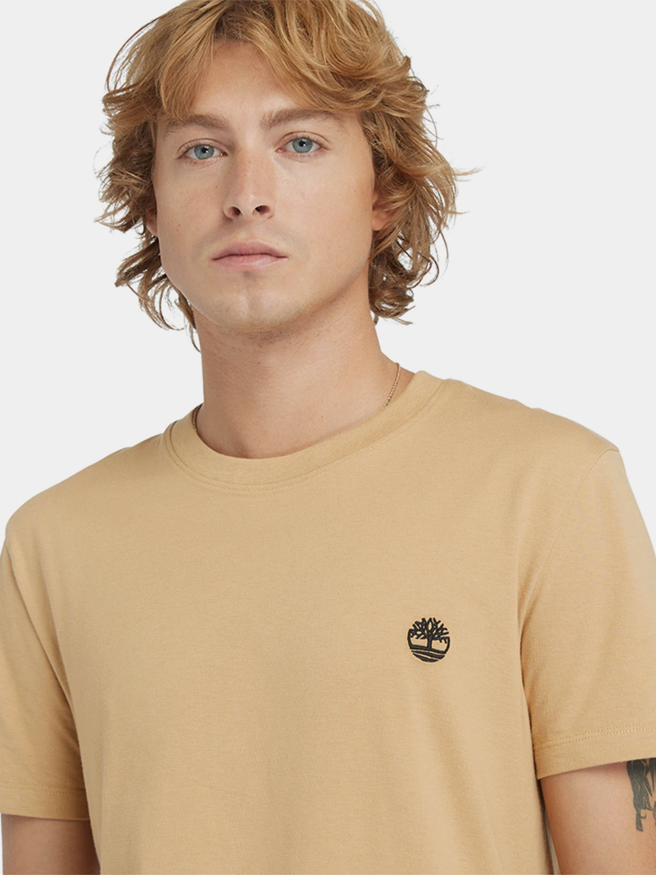Футболки и поло Timberland модель TB0A2BPREH3 Футболки и поло Timberland модель TB0A2BPREH3 Фото