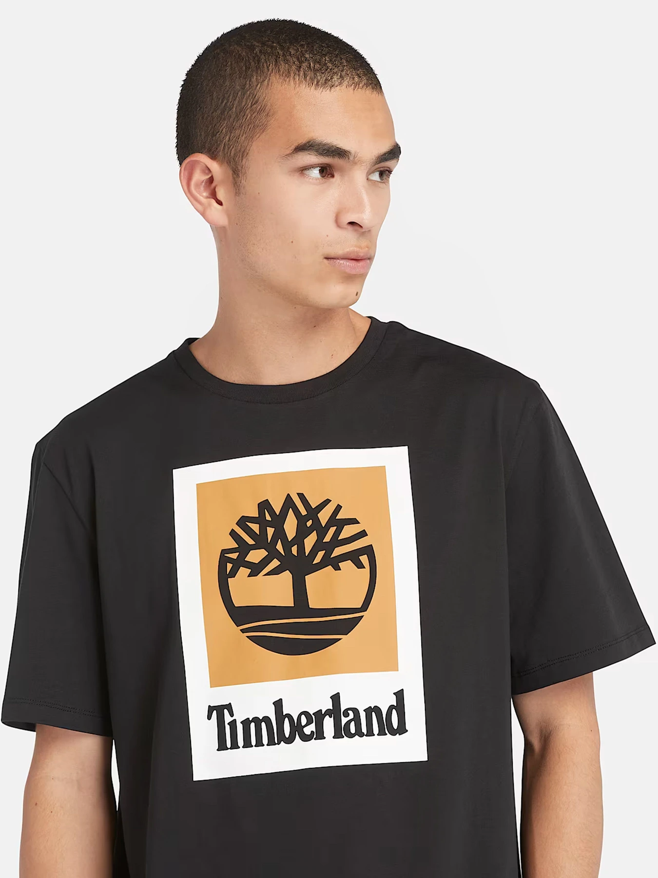 Футболки и поло Timberland модель TB0A5QS2001 Футболки и поло Timberland модель TB0A5QS2001 Фото