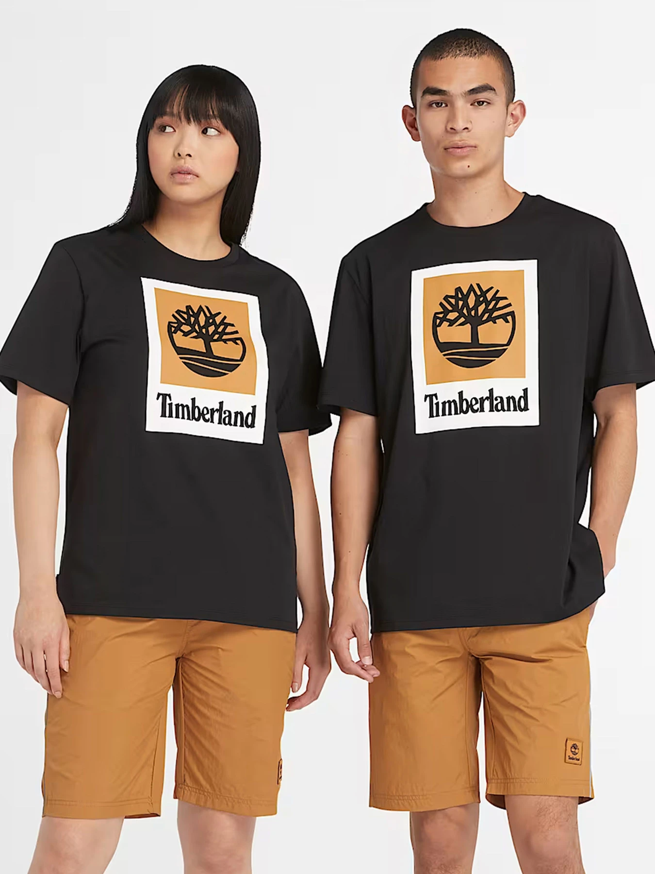 Футболки и поло Timberland модель TB0A5QS2001 Футболки и поло Timberland модель TB0A5QS2001 Фото
