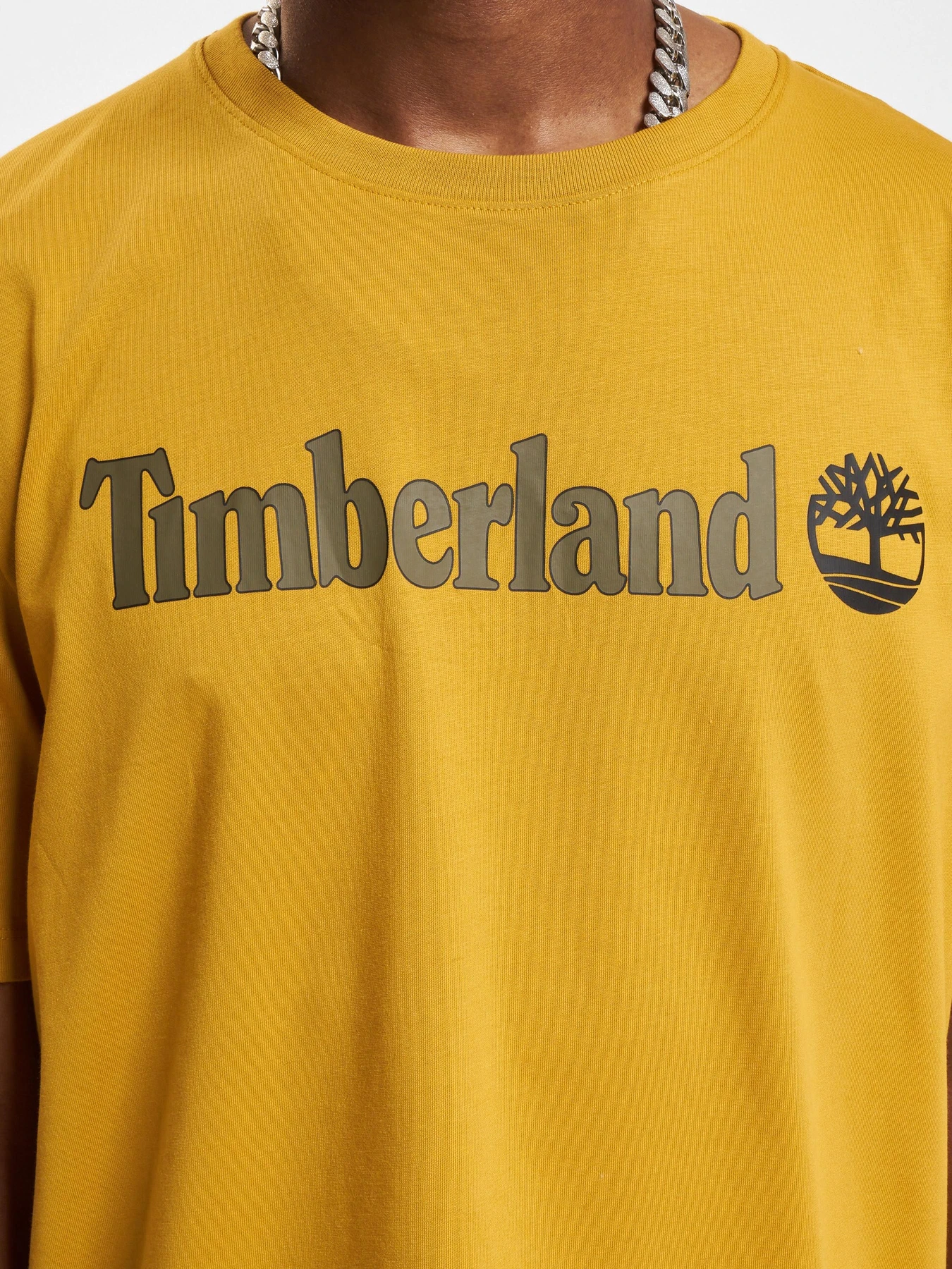 Футболки и поло Timberland модель TB0A5UPQEFM Фото