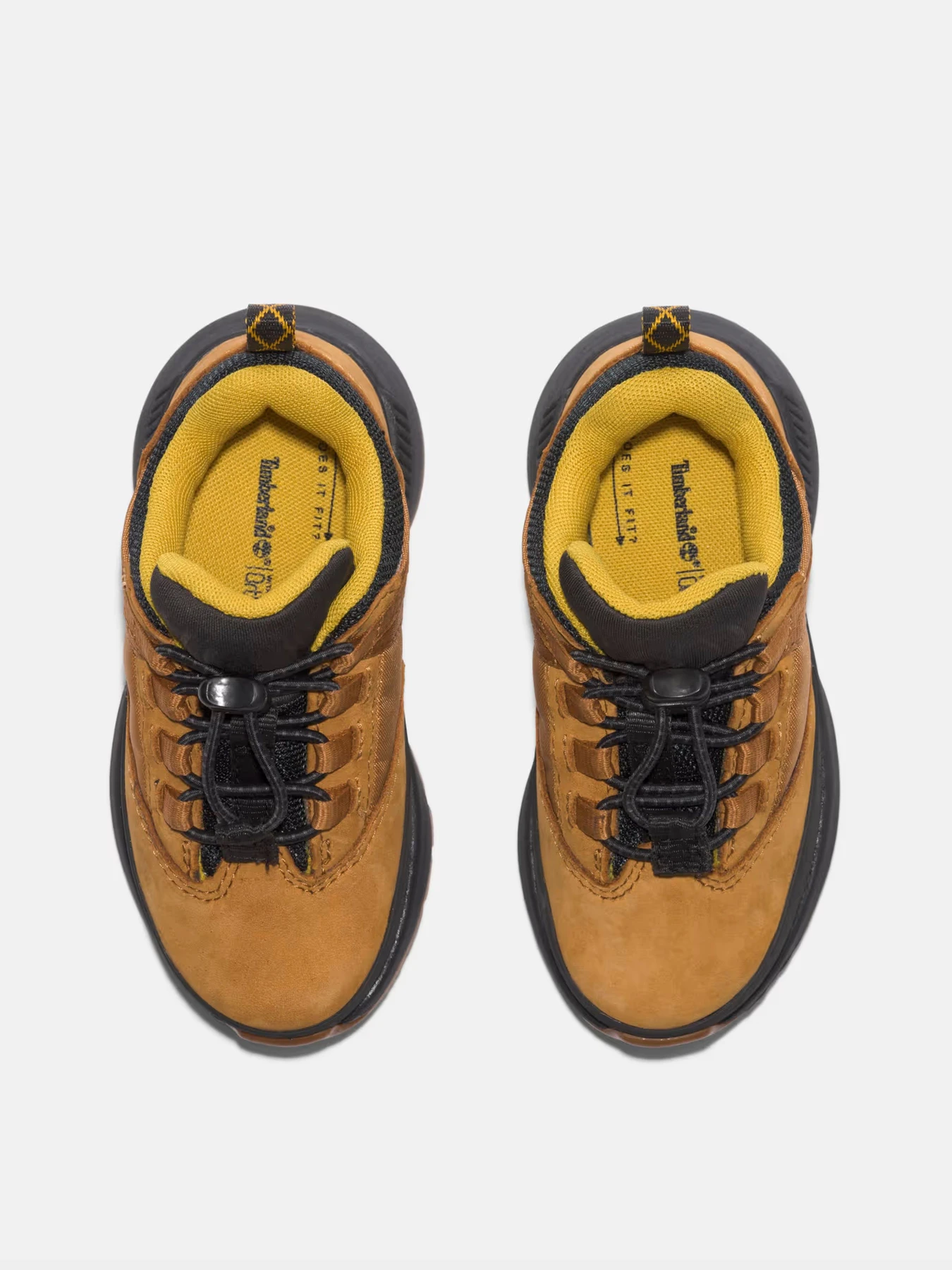 Кроссовки Timberland модель TB0A663G231 Кроссовки Timberland модель TB0A663G231 Фото