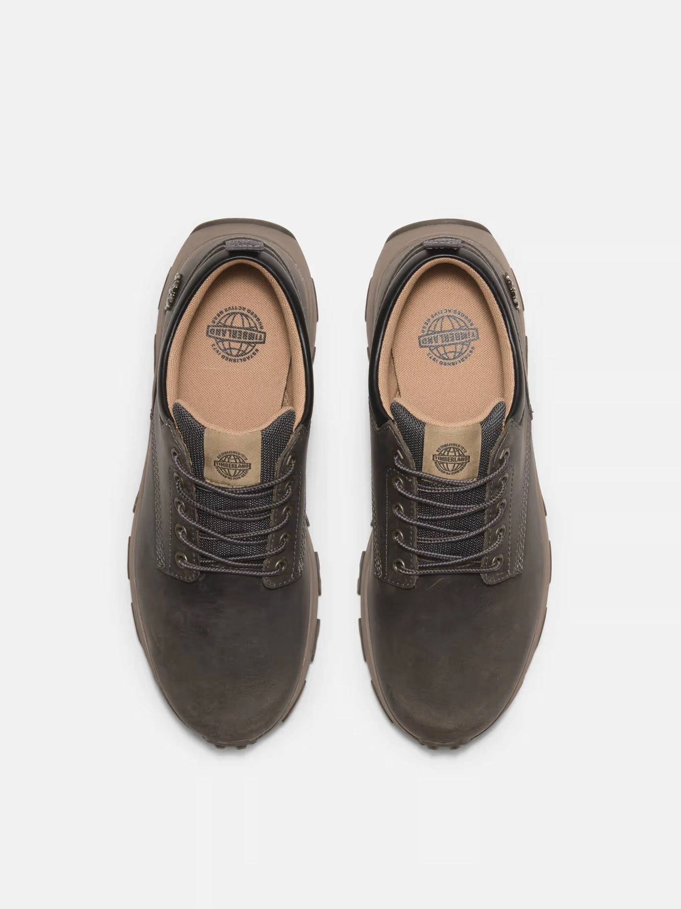 Кроссовки Timberland модель TB0A69NWEL7 Кроссовки Timberland модель TB0A69NWEL7 Фото