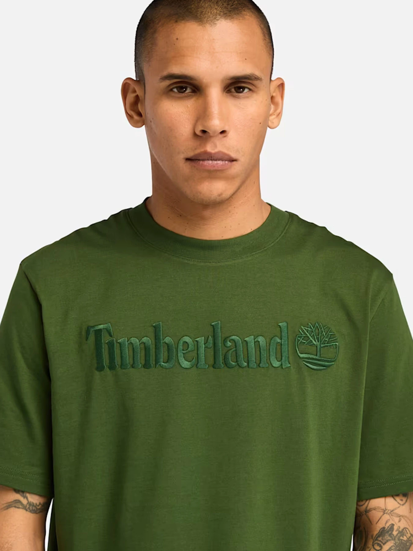 Футболки и поло Timberland модель TB0A6VPEEIN Футболки и поло Timberland модель TB0A6VPEEIN Фото