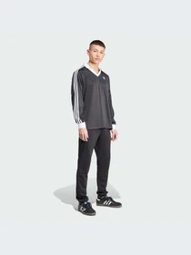 Худи и свитшоты Adidas Adicolor модель IZ4808-KZ Фото