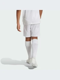 Шорты Adidas модель IT5176-KZ Фото