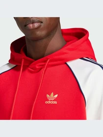 Худи и свитшоты Adidas Adicolor модель IY4859-KZ Фото