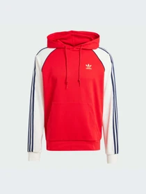 Худи и свитшоты Adidas Adicolor модель IY4859-KZ Фото
