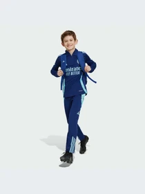 Брюки Adidas модель IT2209-KZ Фото