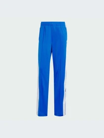 Брюки Adidas Adicolor модель IY2124-KZ Фото