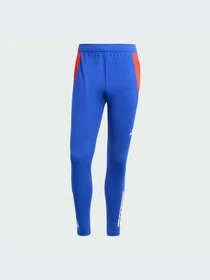 Брюки Adidas Tiro модель JF4193-KZ Фото
