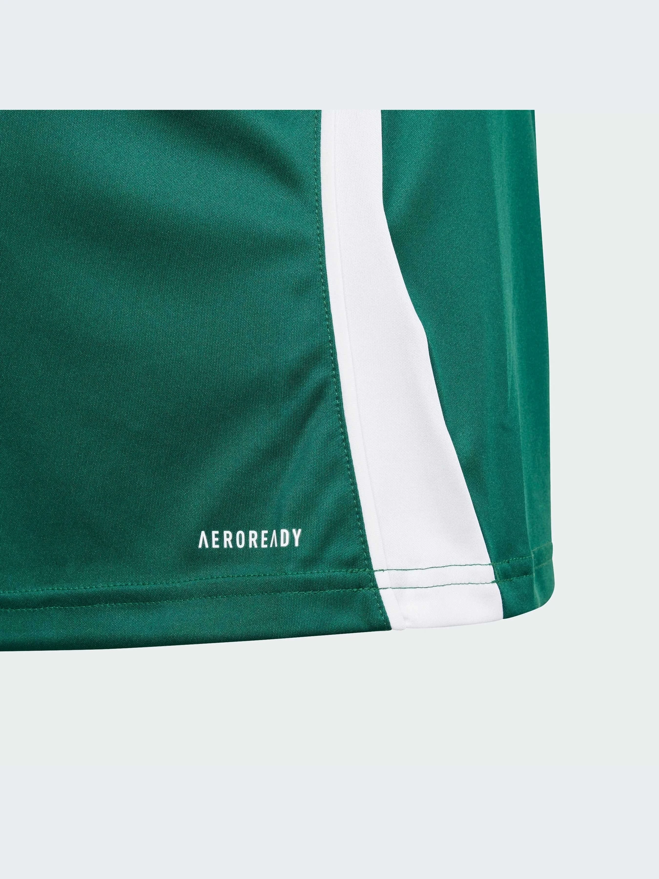 Футболки и поло Adidas Tiro модель IS1028-KZ Футболки и поло Adidas Tiro модель IS1028-KZ Фото