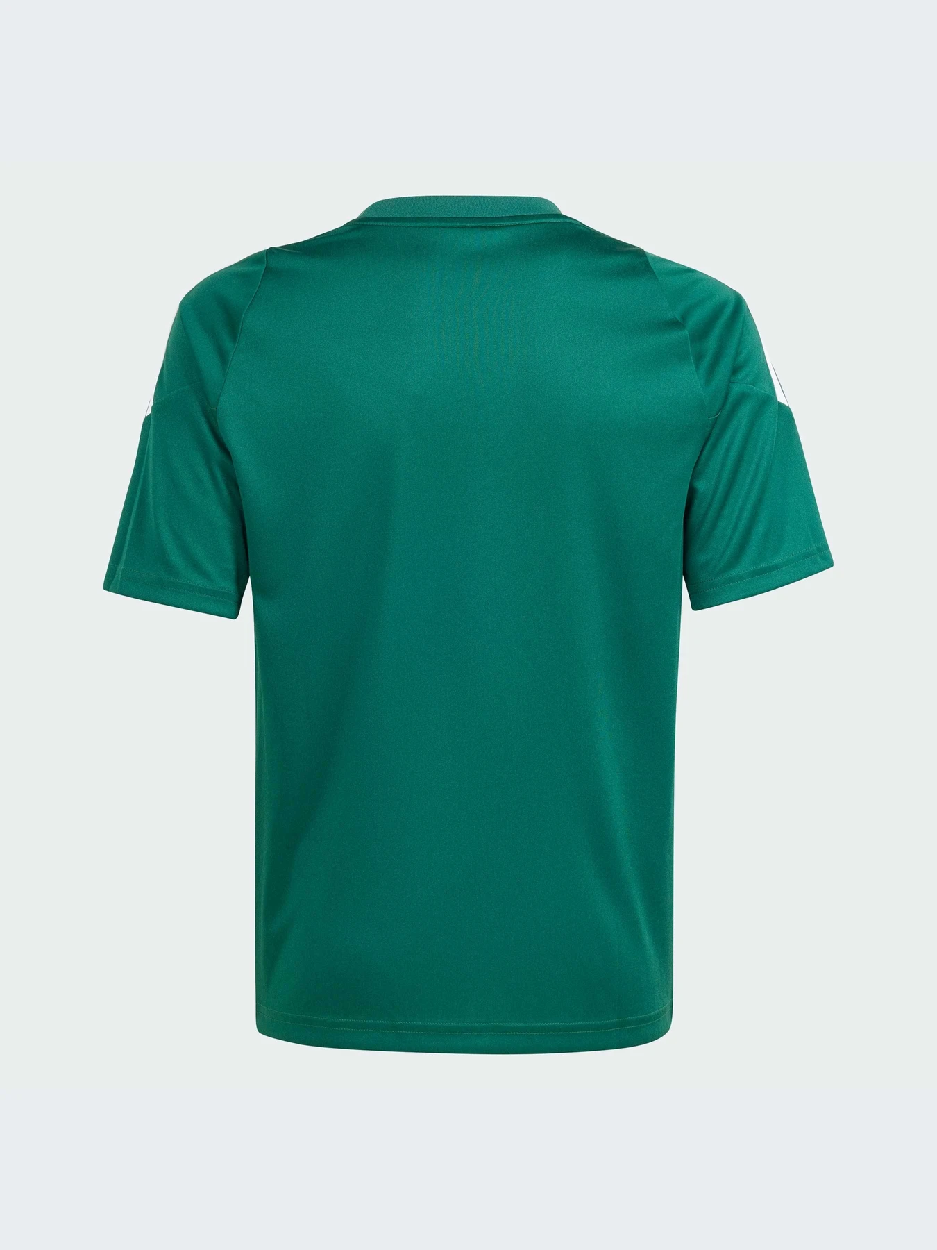 Футболки и поло Adidas Tiro модель IS1028-KZ Футболки и поло Adidas Tiro модель IS1028-KZ Фото