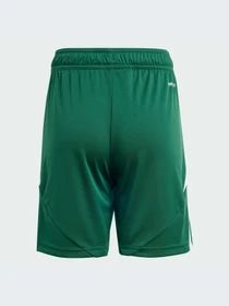 Шорты Adidas Tiro модель IT2409-KZ Фото